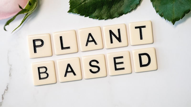 Plant-Based Creations
